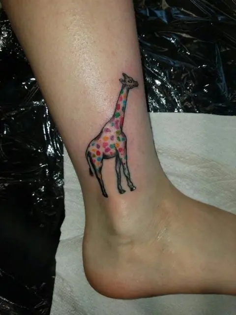 Colored giraffe