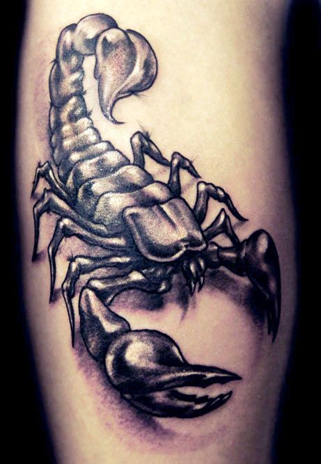 traditional scorpion leg tattoo｜TikTok Search