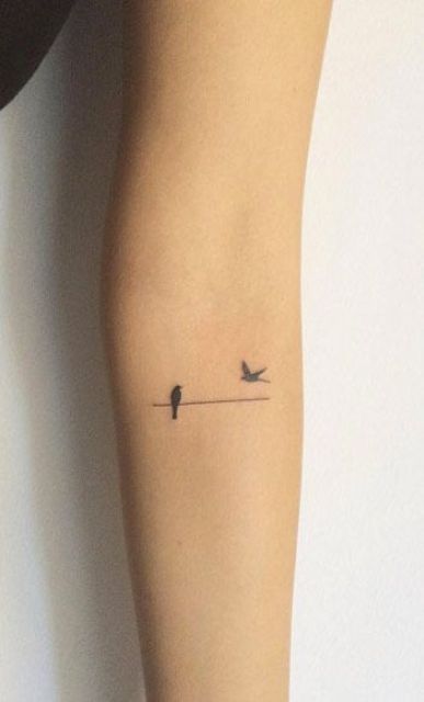 tiny and delicate birds on an arm