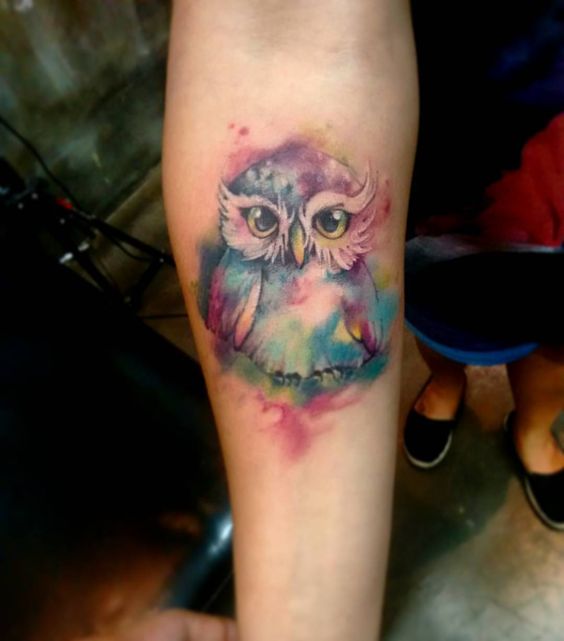 watercolor owl
