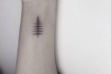 16 pine tree