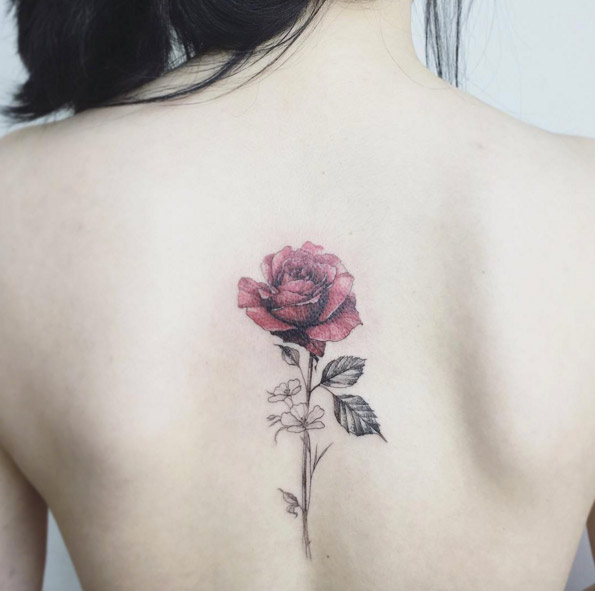 single rose on a back