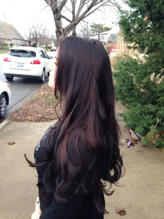 brownish black cherry hair