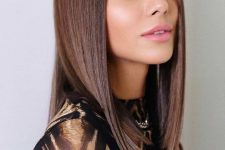 medium-length chestnut hair, straight and with a glossy finish, is a catchy and chic solution