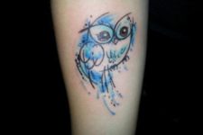 Blue owl on the arm