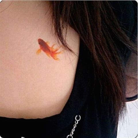 Gold fish on the chest