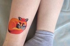 Orange and gray fox on the ankle