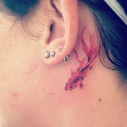 Red fish behind the ear
