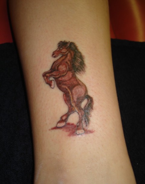 Brown horse tattoo