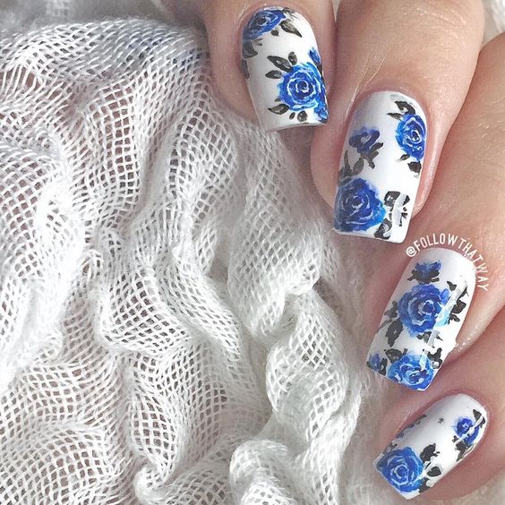 blue roses in the white background