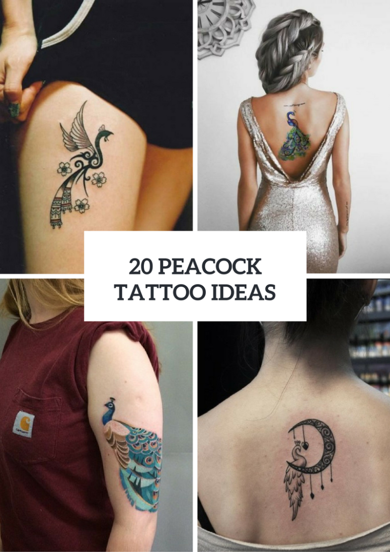 Peacock tattoo Cut Out Stock Images & Pictures - Page 3 - Alamy