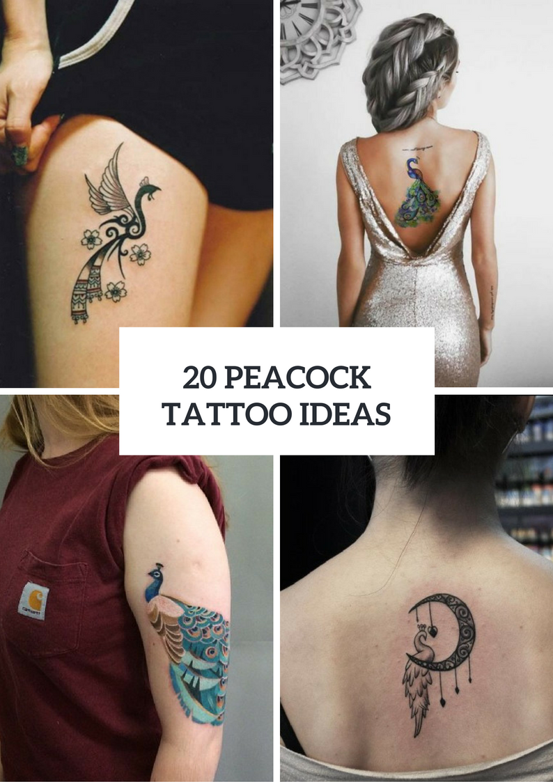 Stunning Peacock Tattoo Ideas For Ladies