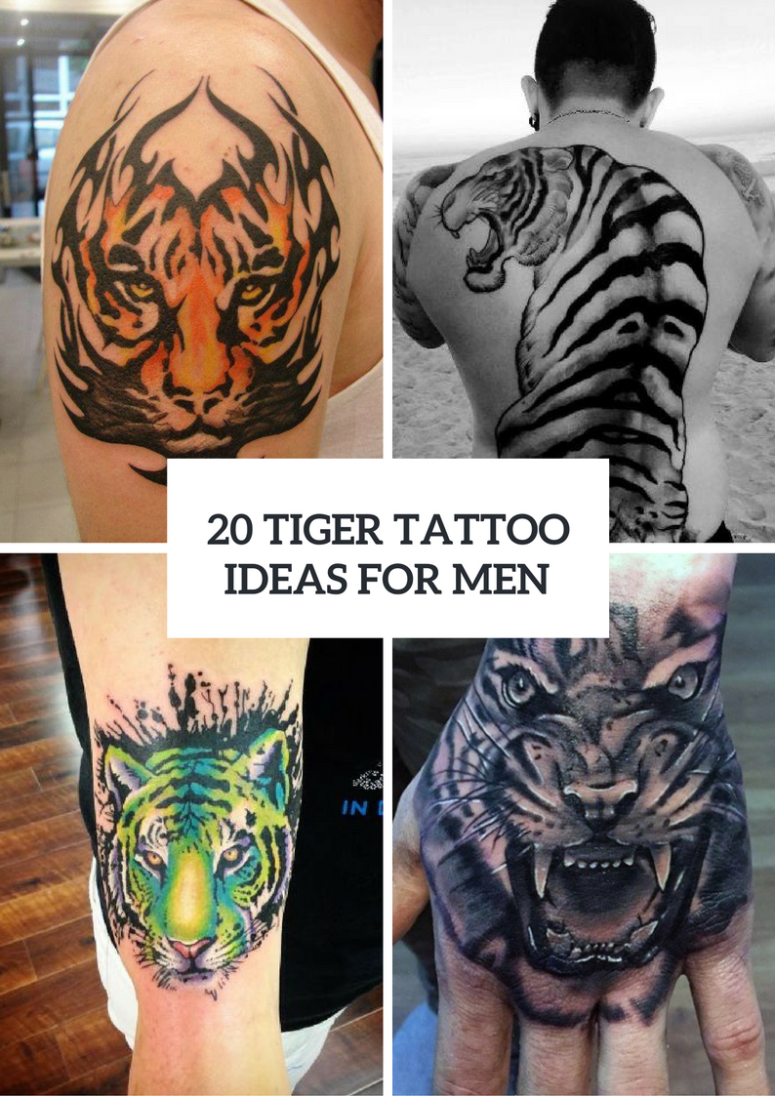 Excellent Tiger Tattoo Ideas For Men