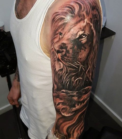 Beautiful lion on the arm