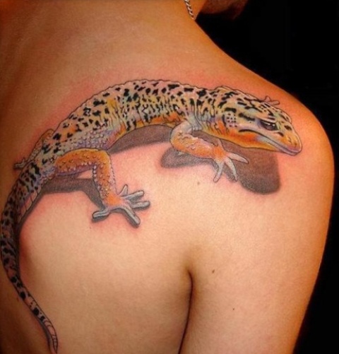 Lizard Tattoo Designs APK for Android Download