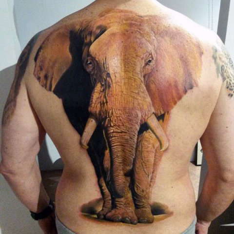 Beautiful brown 3D tattoo on the back