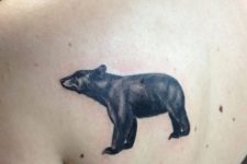 Cool bear tattoo on the back