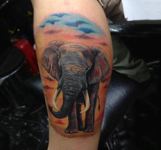Elephant and sky tattoo