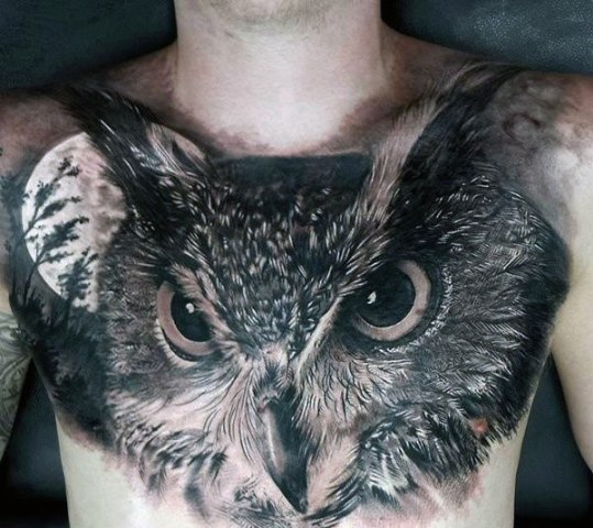 Gorgeous 3D owl tattoo