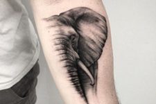 Half of elephant tattoo on the arm