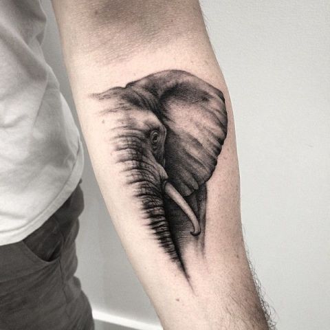 Micro-realistic style elephant tattoo done on the