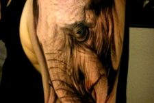 Half-sleeve elephant tattoo