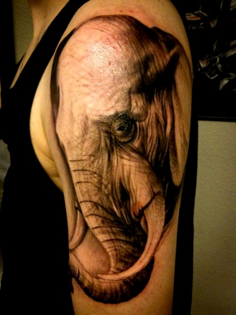 Half sleeve elephant tattoo