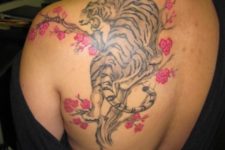 Large tiger and tree tattoo on the back