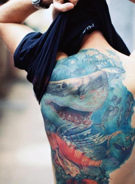 Shark and other fishes tattoo on the back