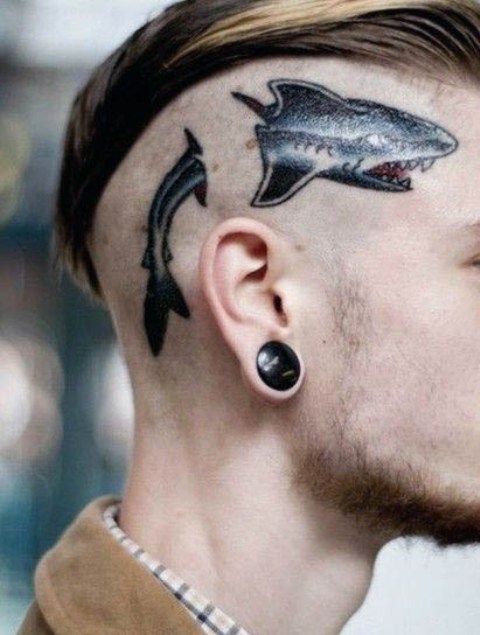 Small shark tattoo on the head