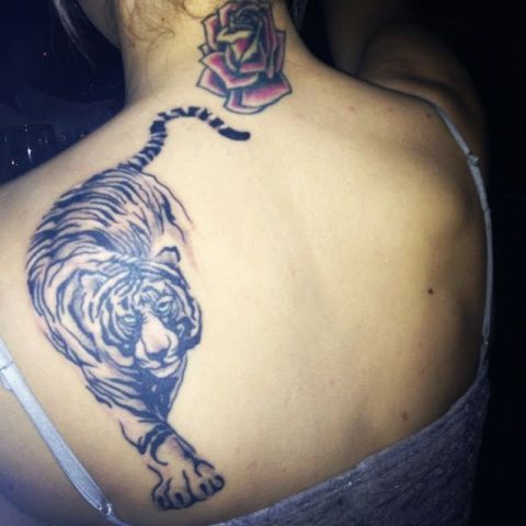 Tiger tattoo on the back