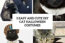 5 easy and cute diy cat halloween costumes cover