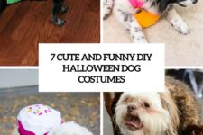7 funny and cute diy halloween dog costumes cover