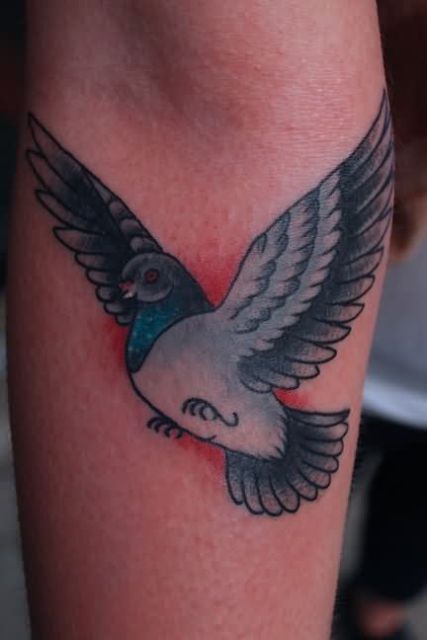 Cartoon dove tattoo on the arm