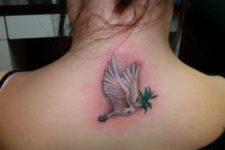 Dove and greenery tattoo on the back