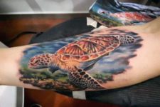 Floating turtle tattoo on the arm