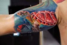 Turtle with red shell tattoo on the biceps