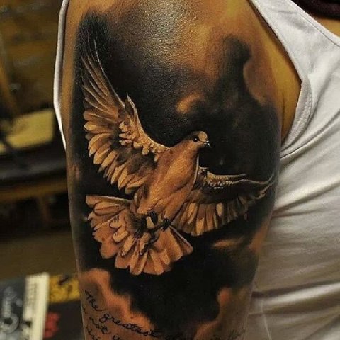 White dove tattoo on the biceps