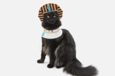 DIY Egyptian Pharaoh costume