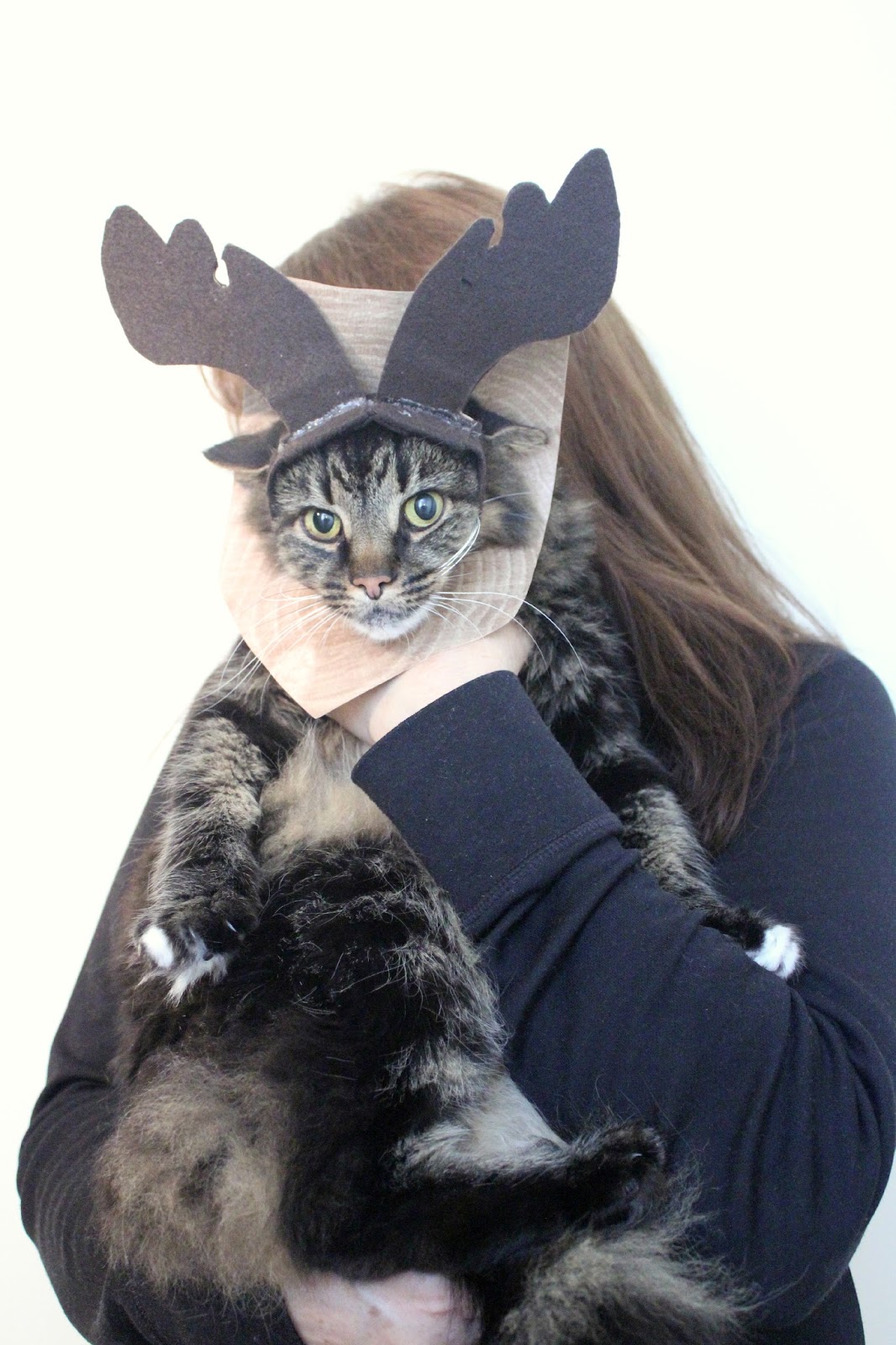 DIY moose wall-mounted head costume (via www.eatsleepmake.com)