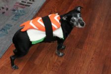 DIY sushi dog costume