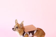 DIY s’mores dog costume