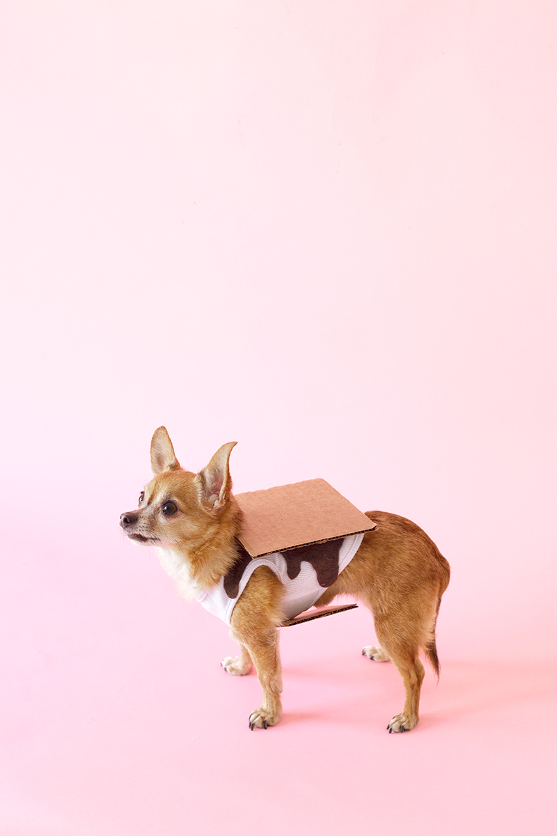 DIY s'mores dog costume (via https:)