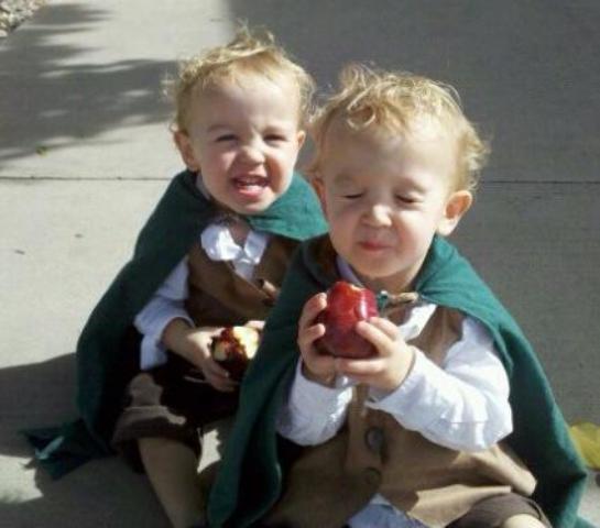 Frodo and Sam costumes