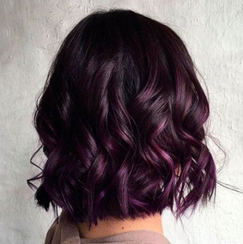 Fashion Pixie Short Cut Bob Wig For Black Women 100% Human Hair Wig Dark  Purple | eBay