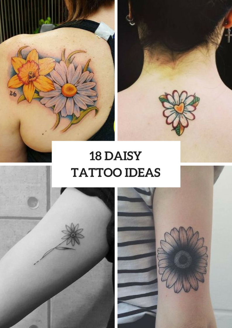 Amazing Daisy Tattoo Ideas For Women