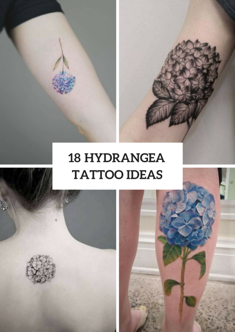 Hydrangea tattoo to unleash gratitude grace and beauty