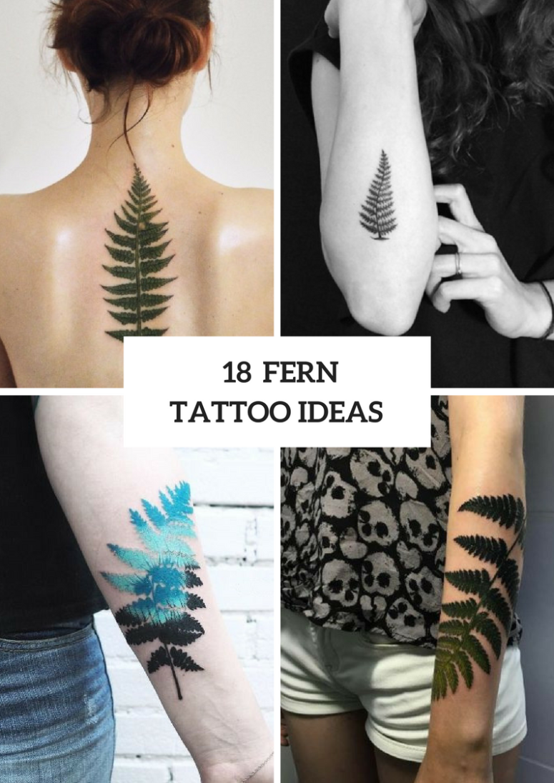 18 Wonderful Fern Tattoo Ideas For Women
