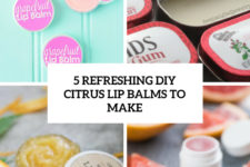 5 refreshing citrus diy lip balms to make cover