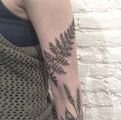 Big leaf tattoo on the arm